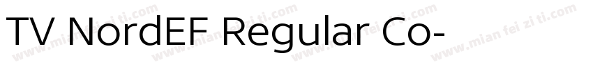 TV NordEF Regular Co字体转换